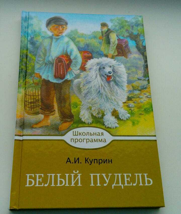 Белый пудель а. и. куприн - читальный зал