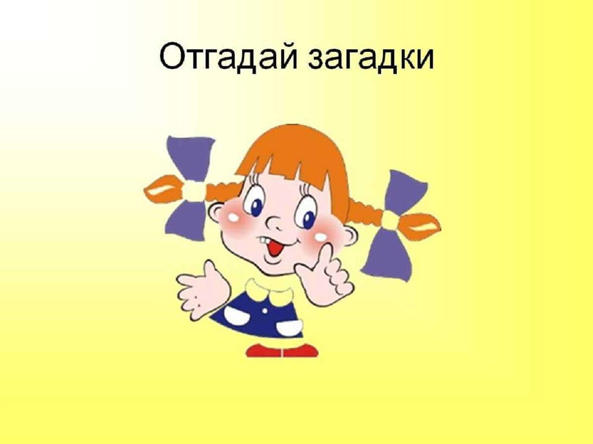 Загадки для детей 5-6-7 лет с ответами