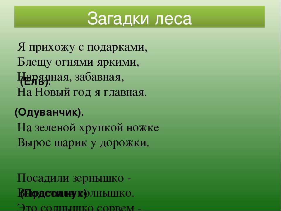 Викторина о природе — топ-10 интересных идей для викторины: вопросы и ответы