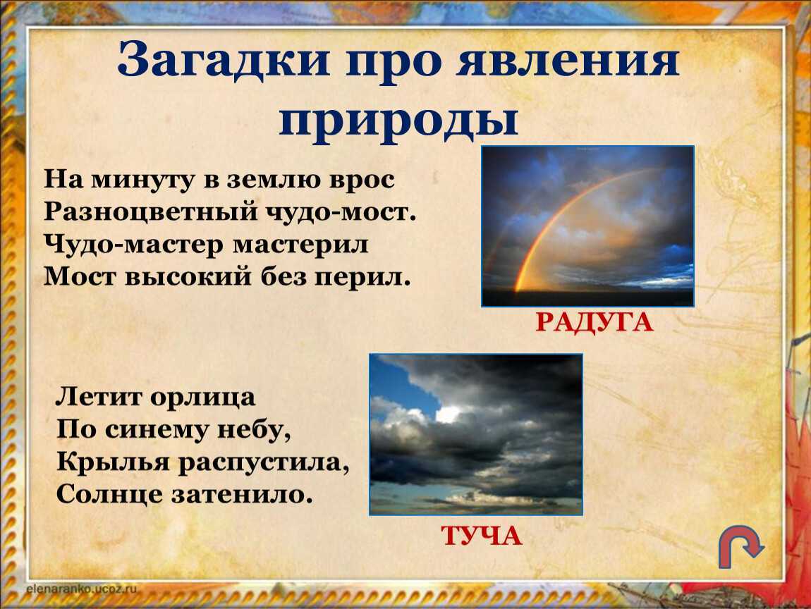 Загадки на логику для детей: 100 занимательных задач