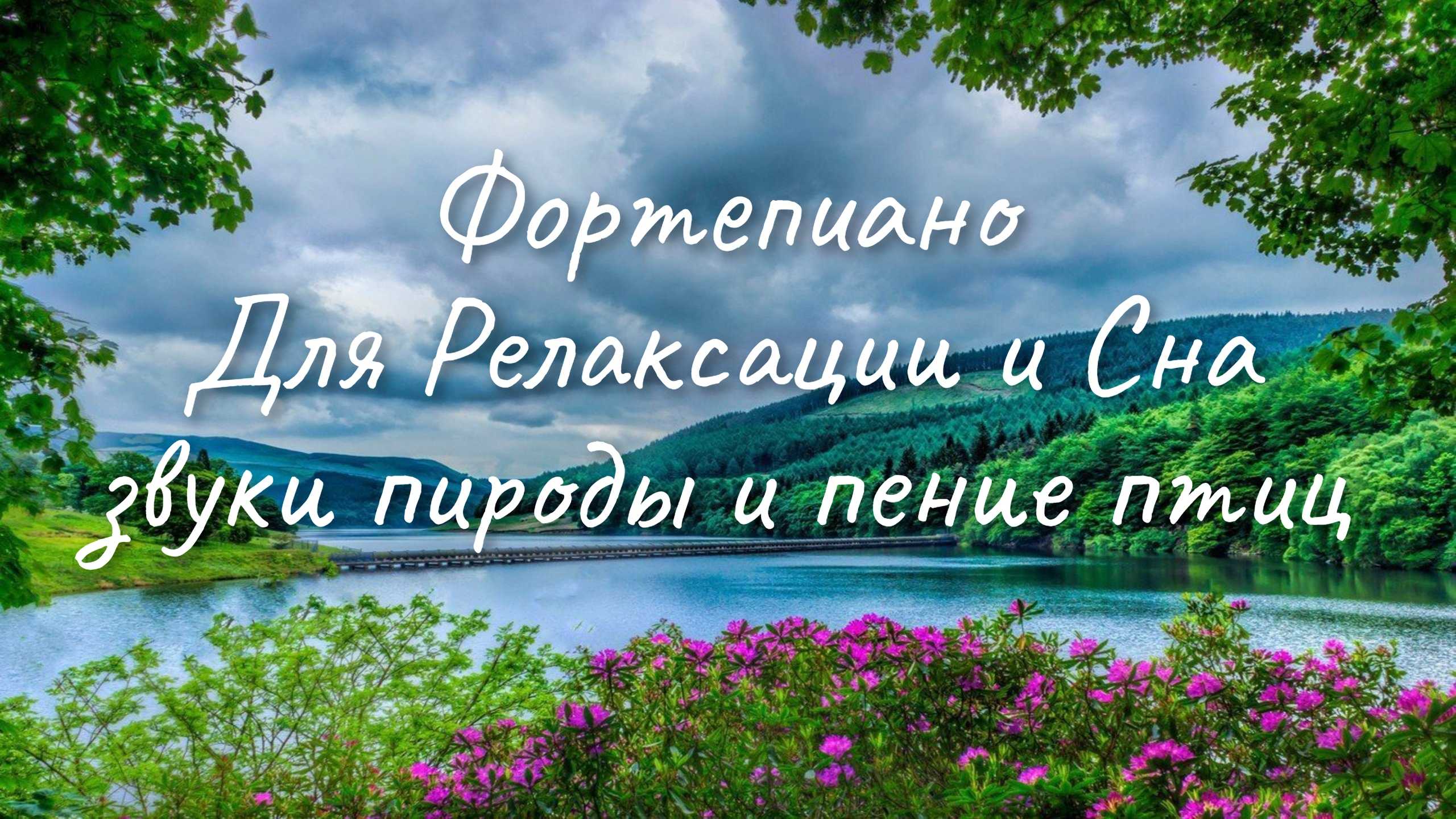 Звуки природы для детей - прослушать музыку бесплатно, быстрый поиск музыки, онлайн радио, cкачать mp3 бесплатно, онлайн mp3 - dydka.net