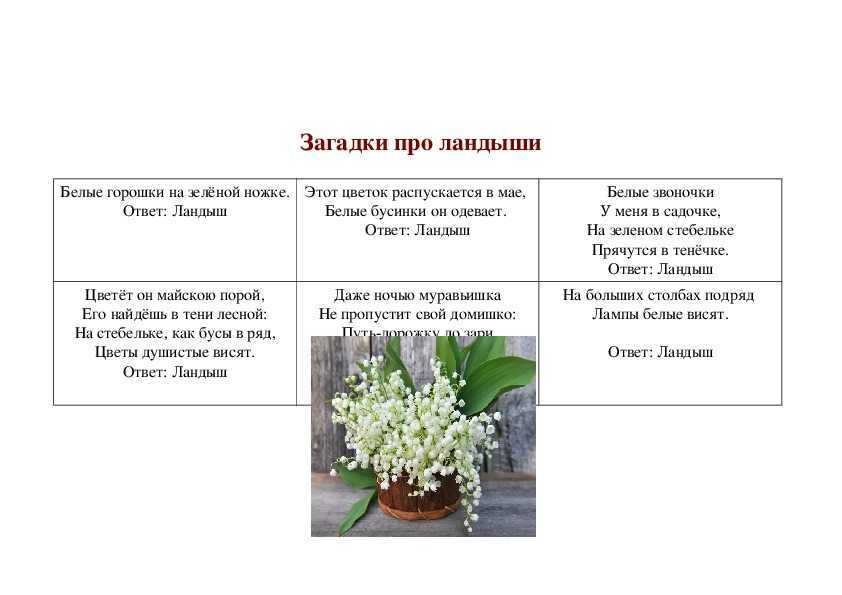 Загадки про цветы: 145 лучших загадок для детей про цветки в горшке для квеста и полевые цветы с ответами / mama66.ru