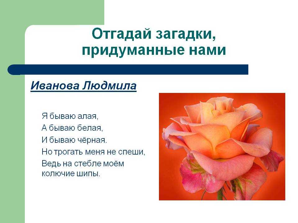 Детские загадки про животных с ответами