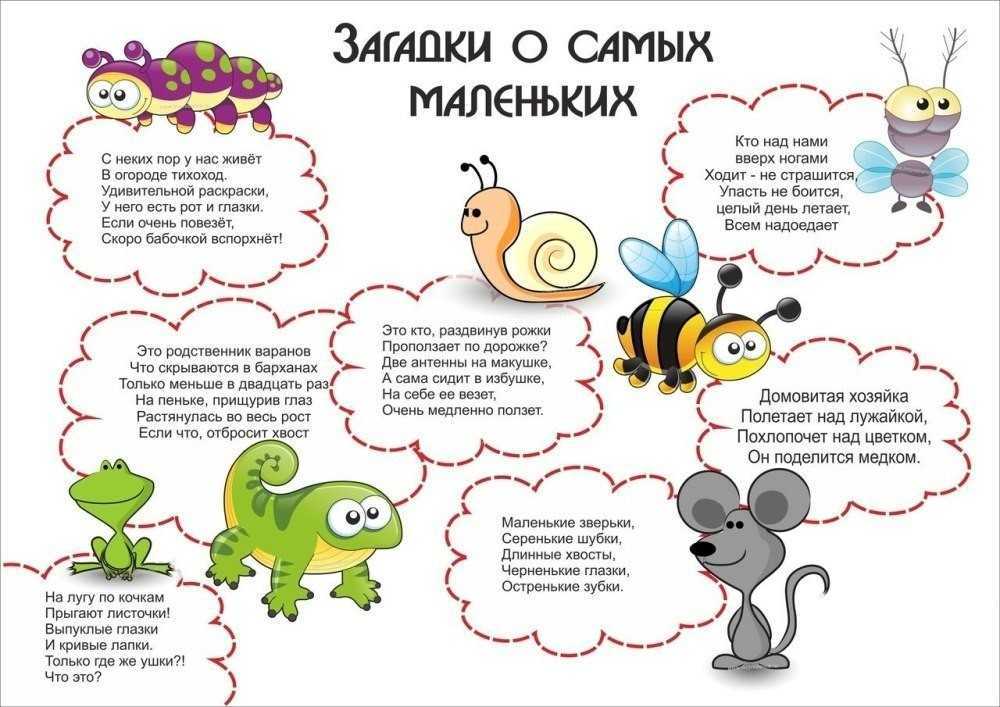 15 загадок от стива джобса. он задавал их сотрудникам, когда принимал на работу