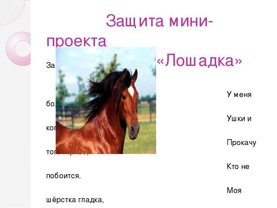 Загадки для детей (c ответами): 2000 самых интересных детских загадок ~ я happy мама