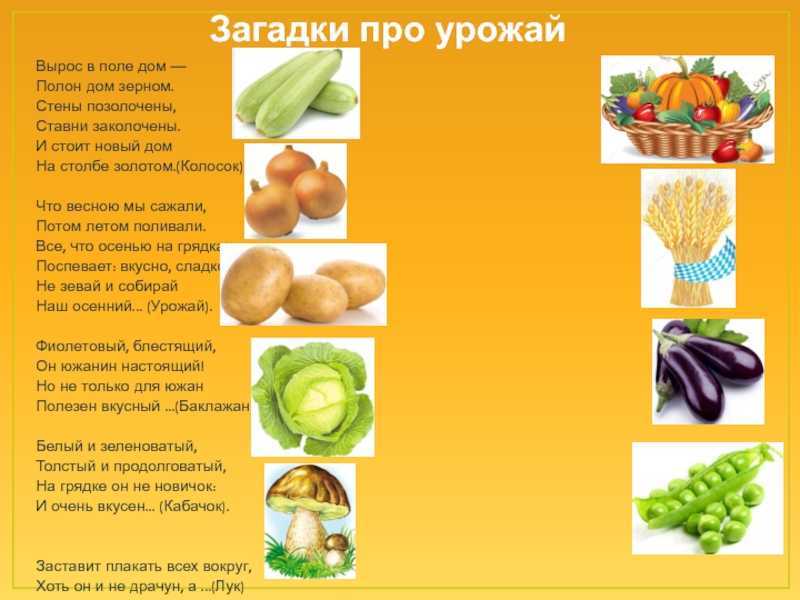 Стихи про овощи и фрукты