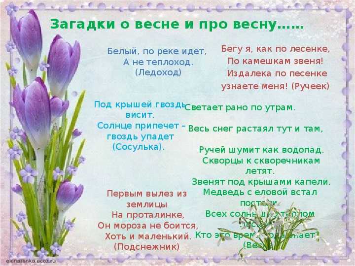 Загадки про деревья и кустарники