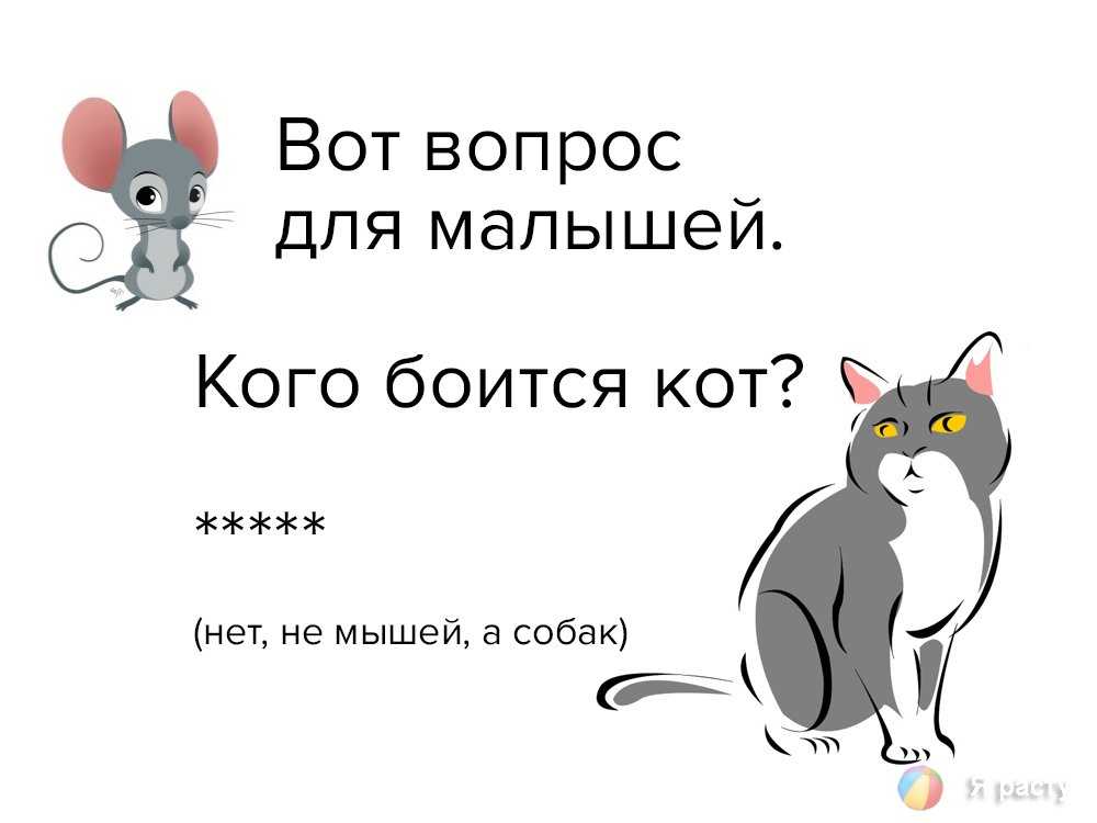 Загадки на сообразительность для школьников 5-8 классов с ответами