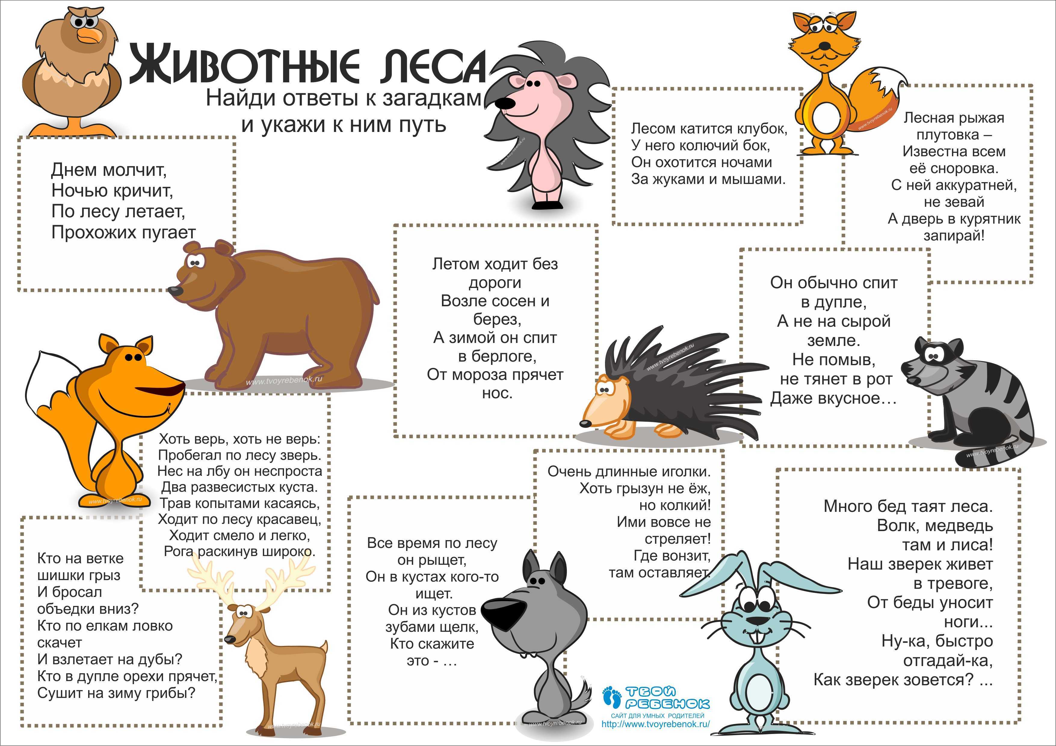 100 хитрых загадок, которые с лёгкостью отгадывали советские школьники