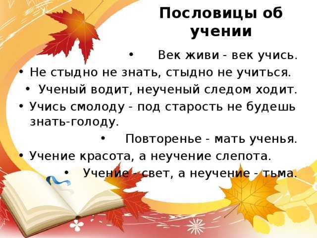 Пословицы и поговорки о знаниях и учении