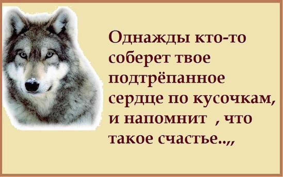 Пословицы и поговорки о животных для детей