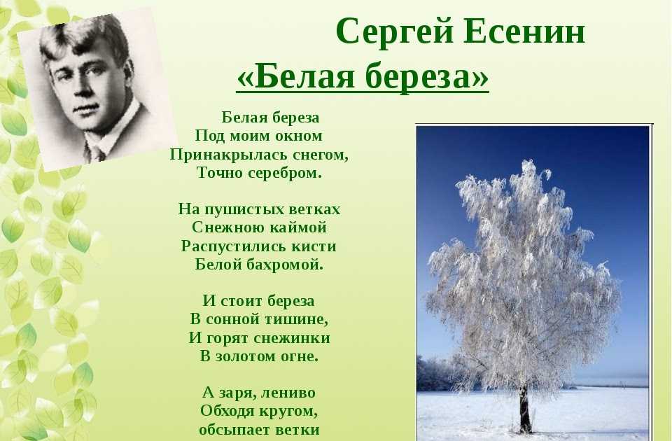 «берёза (белая берёза под моим окном…)» сергей есенин: читать текст, анализ стихотворения