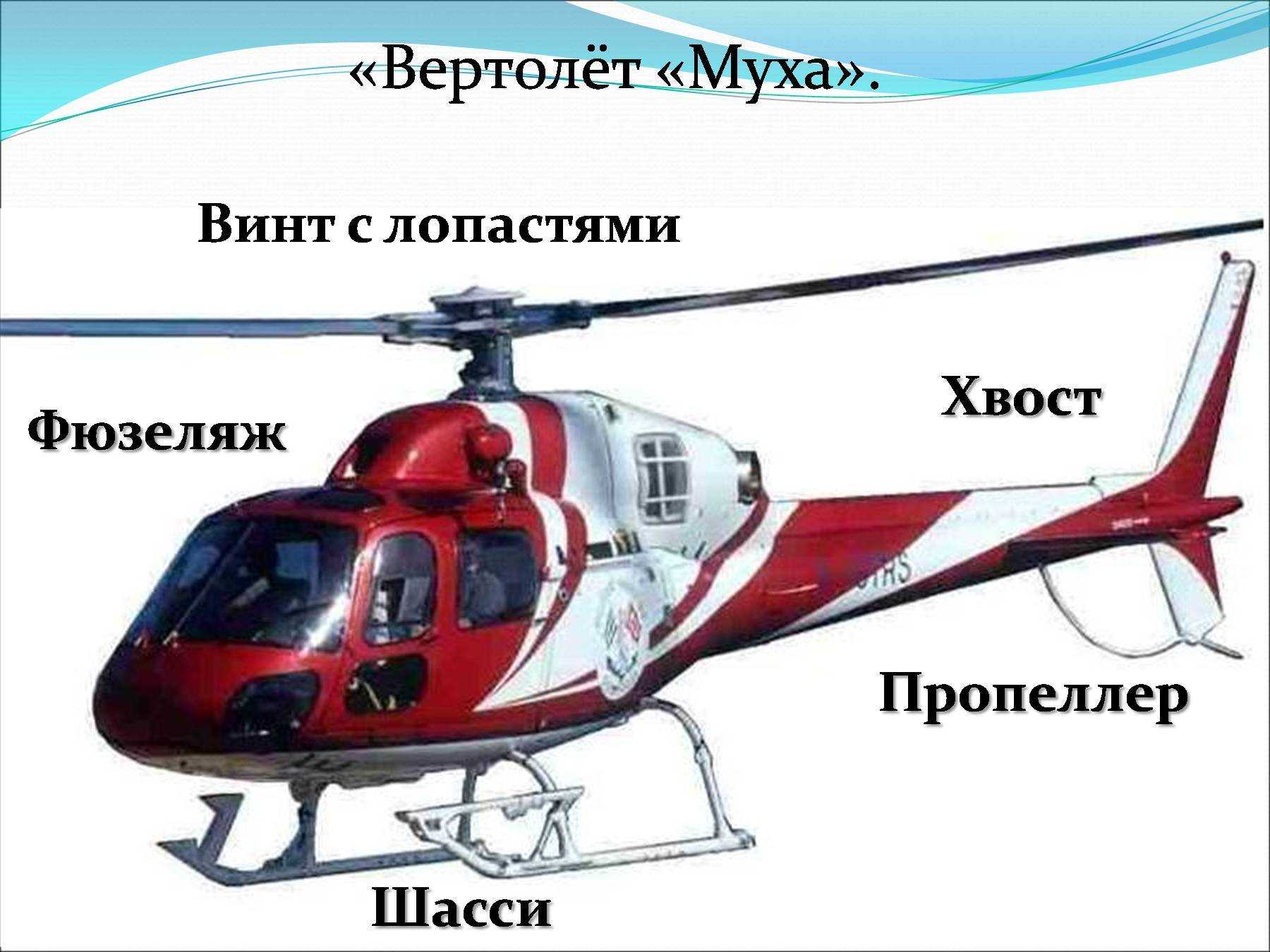 Загадки на логику — лучшая подборка для детей и взрослых