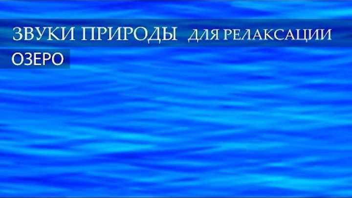 5 сервисов звуки природы онлайн