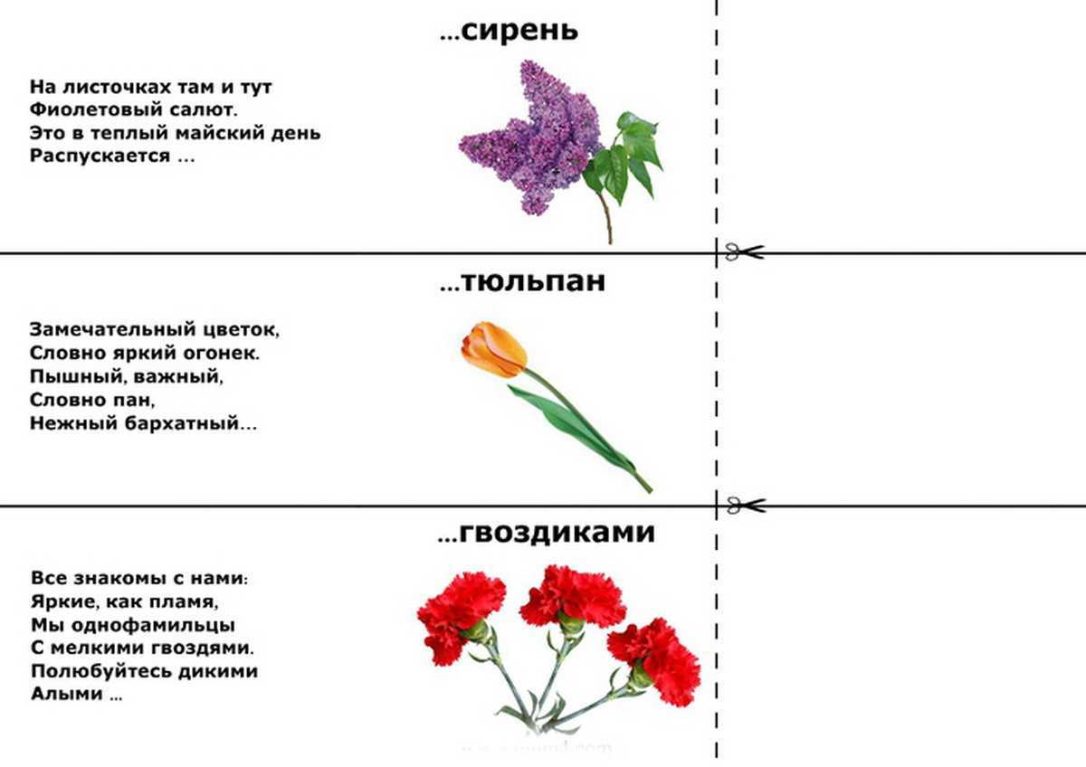 Загадки об осени: 125 интересных шарад с ответами для детей, коротких, простых, сложных и с подвохом / mama66.ru