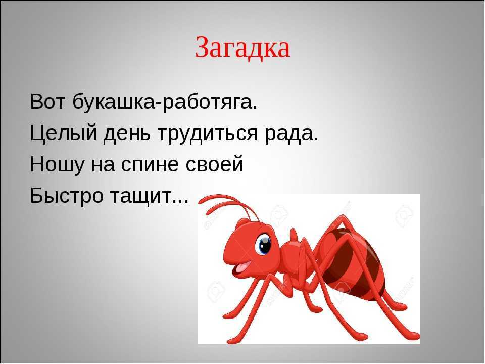 100 хитрых загадок, которые с лёгкостью отгадывали советские школьники - лайфхакер