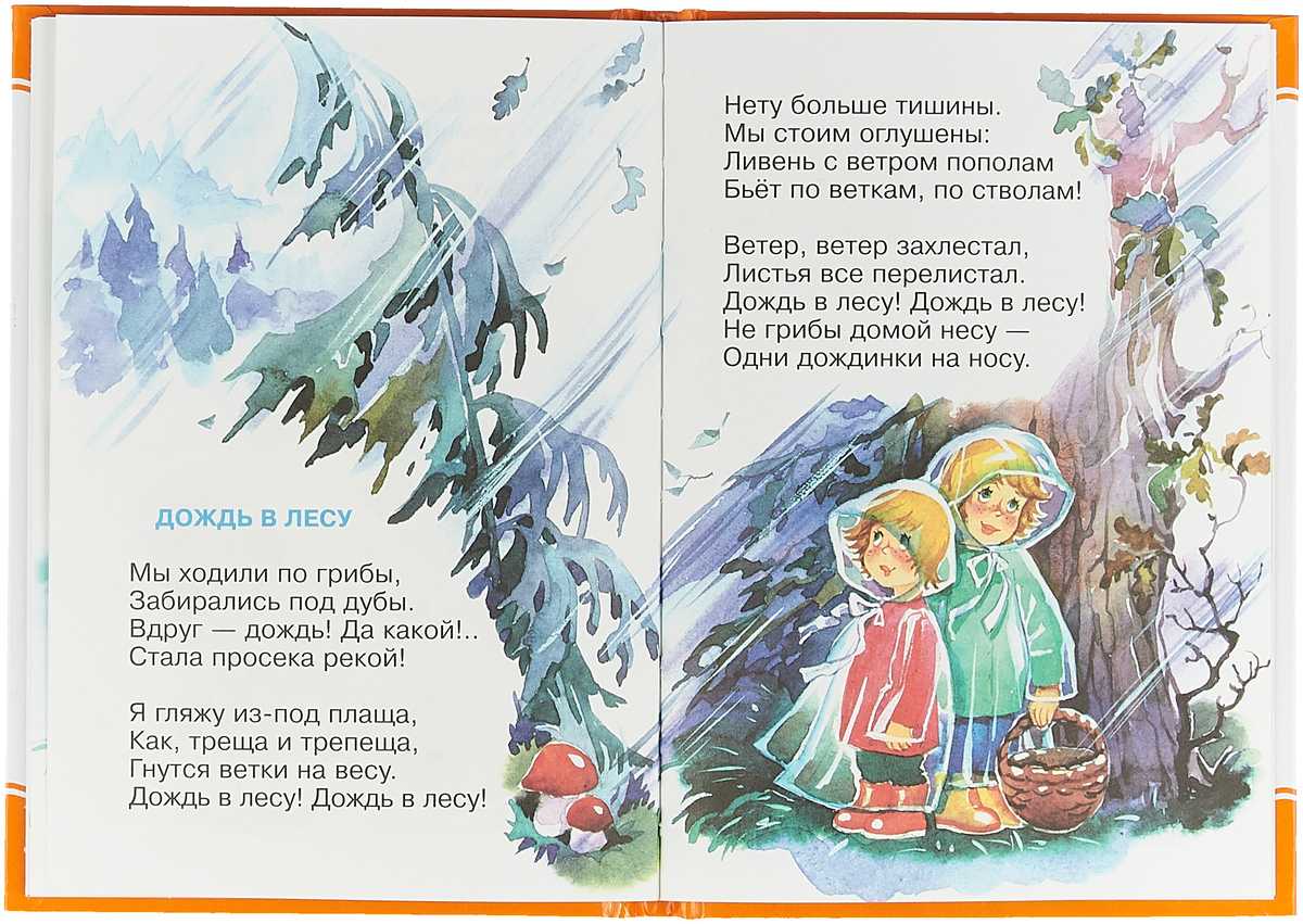 Стихотворение Агнии Барто Дождь в лесу Читать онлайн стих Дождь в лесу вместе с вашим ребенком или скачать бесплатно