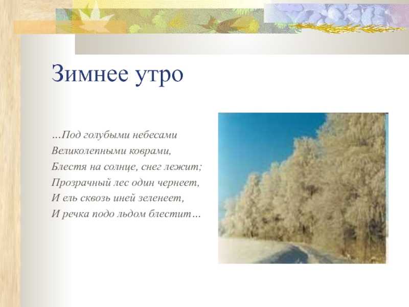 Стихи про школу